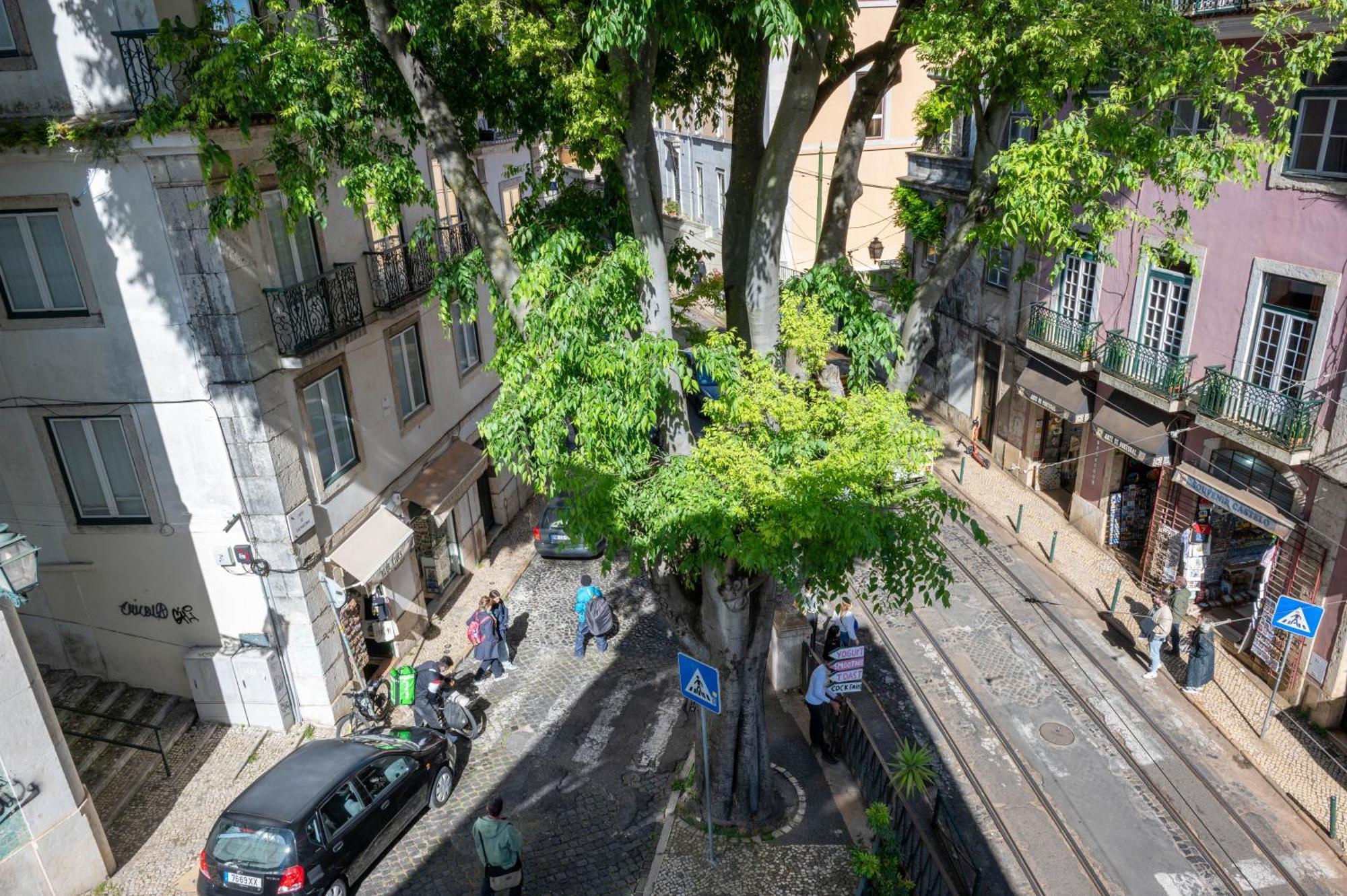 Portas Do Teatro Apartments Lisboa Værelse billede
